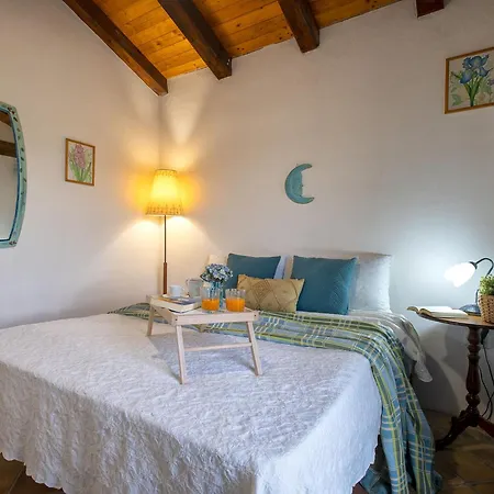 La Filasca 47 By Interhome Lejlighed Golfo Aranci